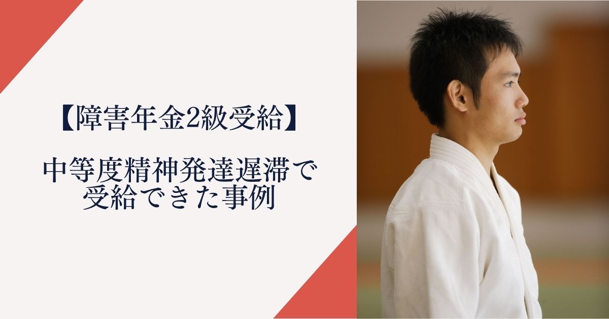 中等度精神発達遅滞で障害年金2級を受給|宮城県仙台市20代の実例